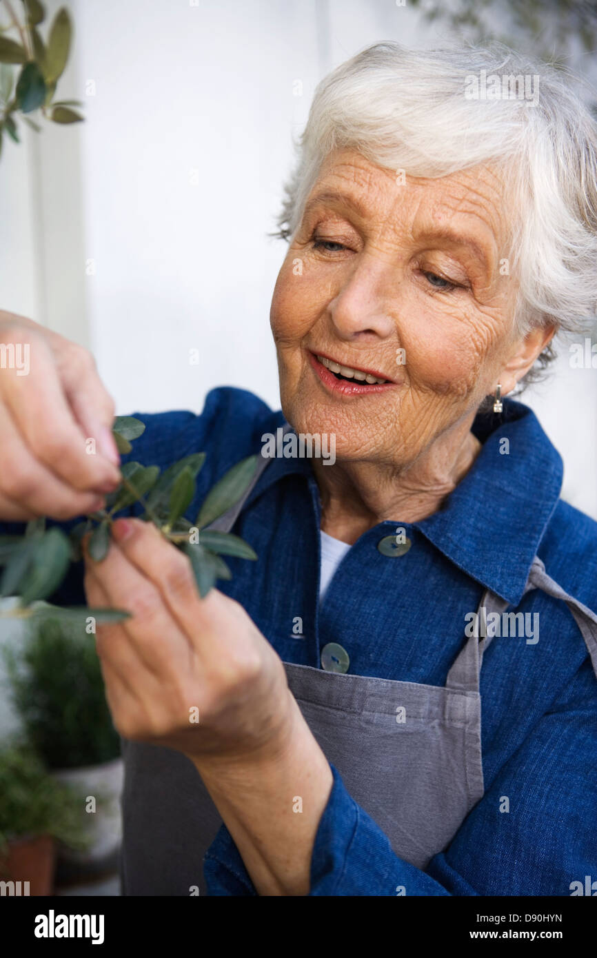 Portrait einer älteren Frau. Stockfoto