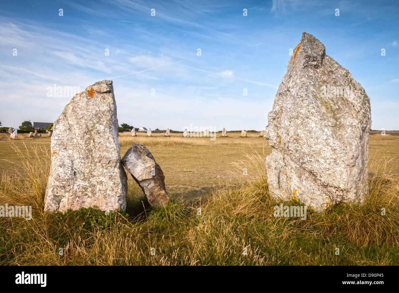 Steinen in den Lagatjar Ausrichtungen bei Camaret-Sur-Mer auf der Halbinsel Crozon in Finistere, Bretagne, Frankreich. Stockfoto