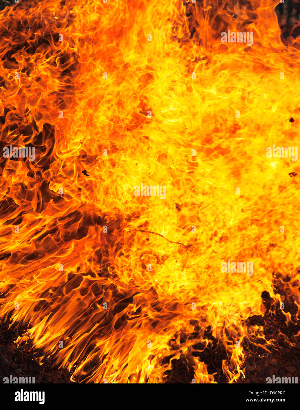 Brennendes Feuer in Nahaufnahme Stockfoto