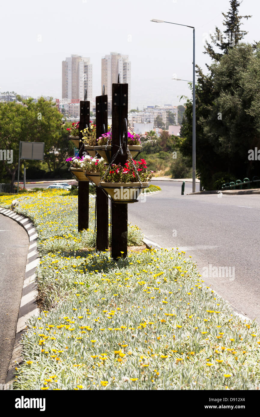 Städtischen Blumen Haifa Stockfoto