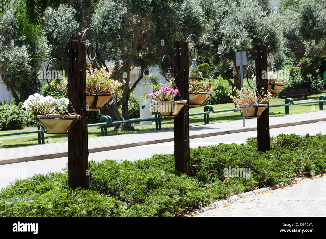 Städtischen Blumen Haifa Stockfoto