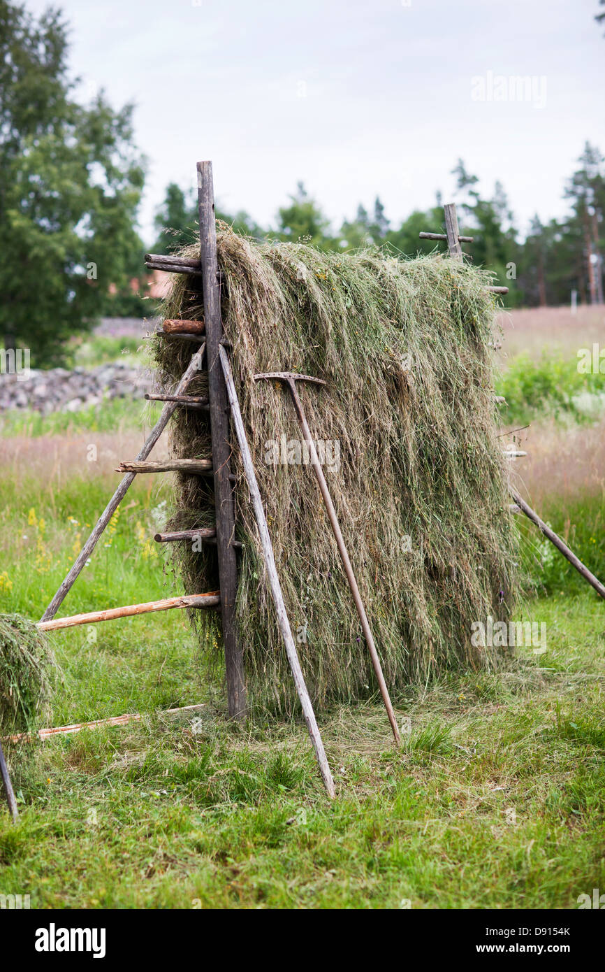 Heu-Trocknung Rack auf Feld Stockfoto