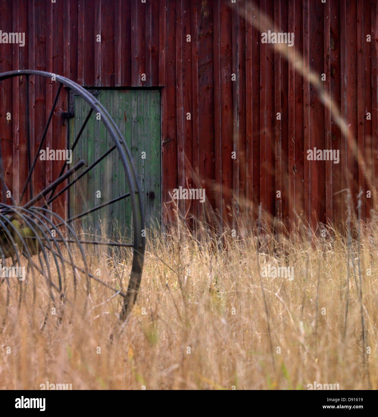 Ein Kuhstall, Schweden. Stockfoto