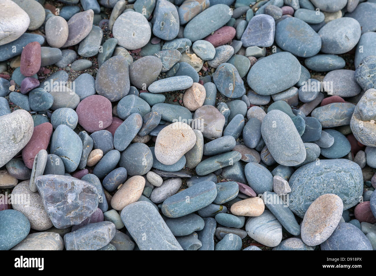 Sortierte glatten abgerundeten Steinen entlang des Meeres oder eines Flusses. Stockfoto