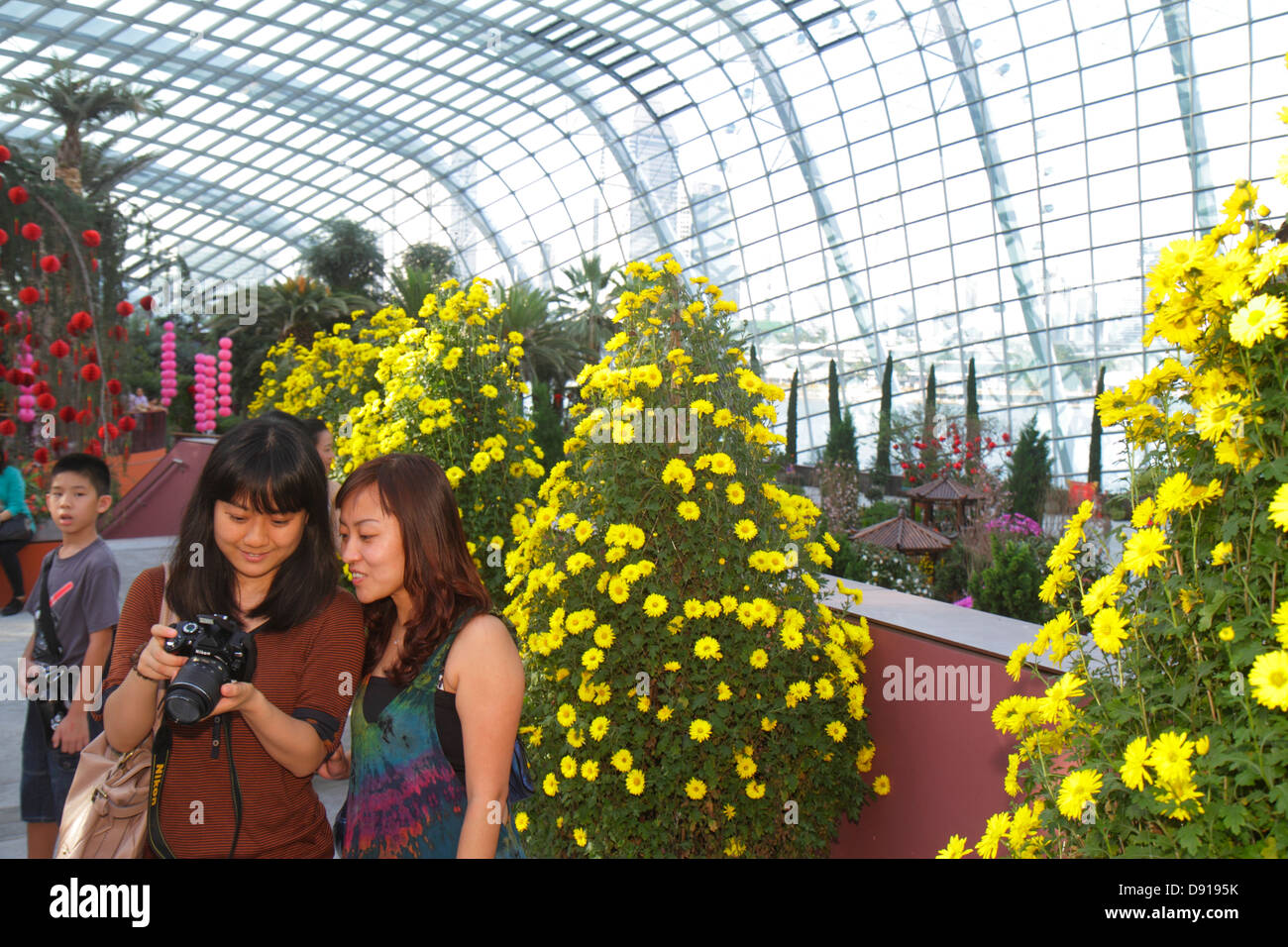 Singapur, Gärten an der Bucht Wasser, Park, Flower Dome, Gewächshaus, Asiaten ethnischen Einwanderer Minderheit, Erwachsene Erwachsene Frau Frauen weibliche Dame, Stockfoto