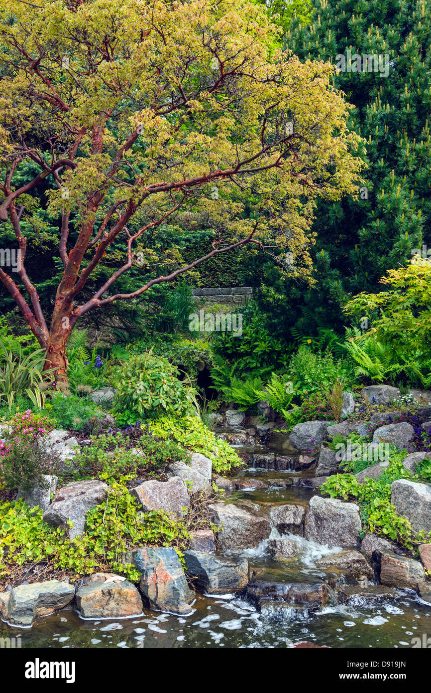 Detail aus der Ziergarten im Pollok Country Park, in der Nähe von Glasgow, Scotland, UK Stockfoto