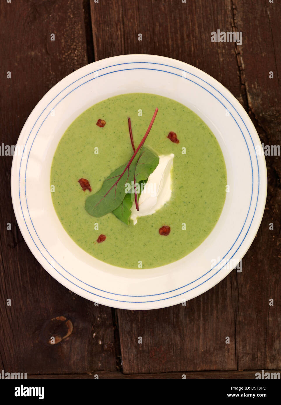 Eine grüne Suppe, Schweden. Stockfoto