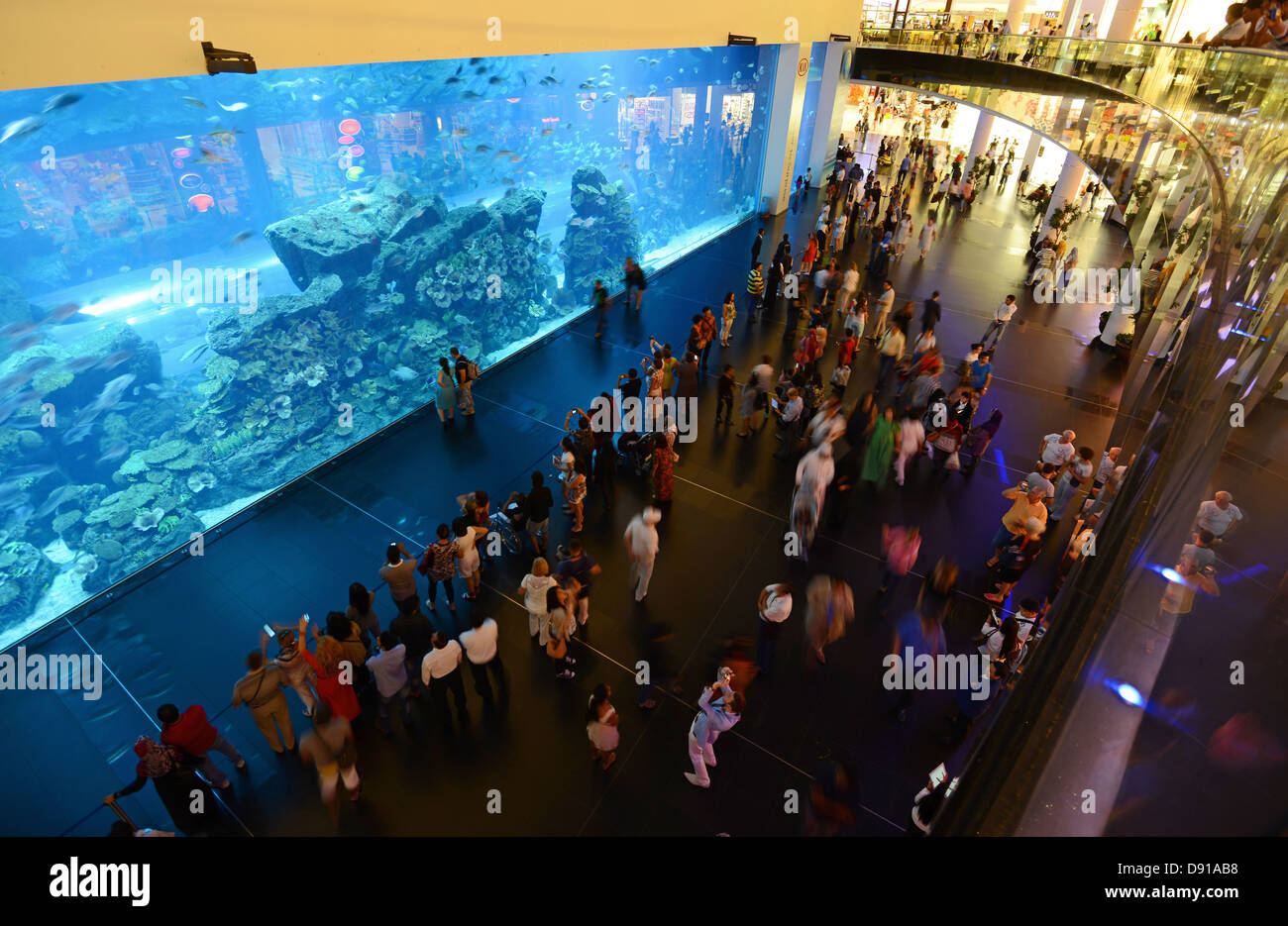 Dubai Mall Aquarium, Menschen in das Aquarium in der Dubai Mall, Dubai, Vereinigte Arabische Emirate Stockfoto