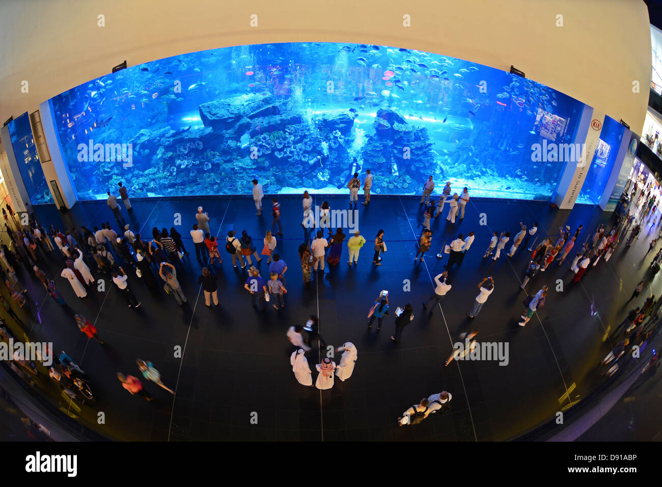 Dubai Mall Aquarium, Menschen in das Aquarium in der Dubai Mall, Dubai, Vereinigte Arabische Emirate Stockfoto