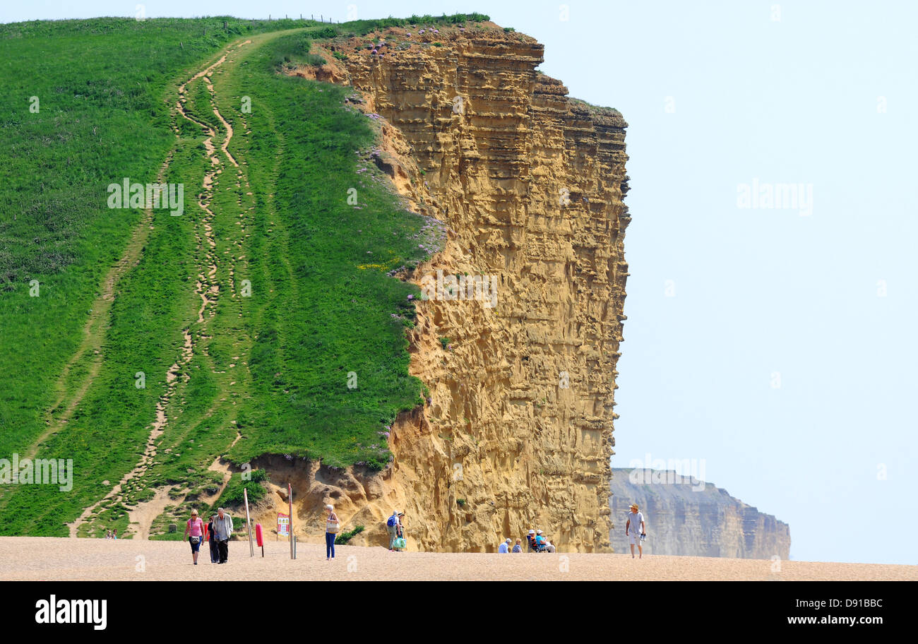 West Bay, East Cliff, Dorset, England, UK Stockfoto