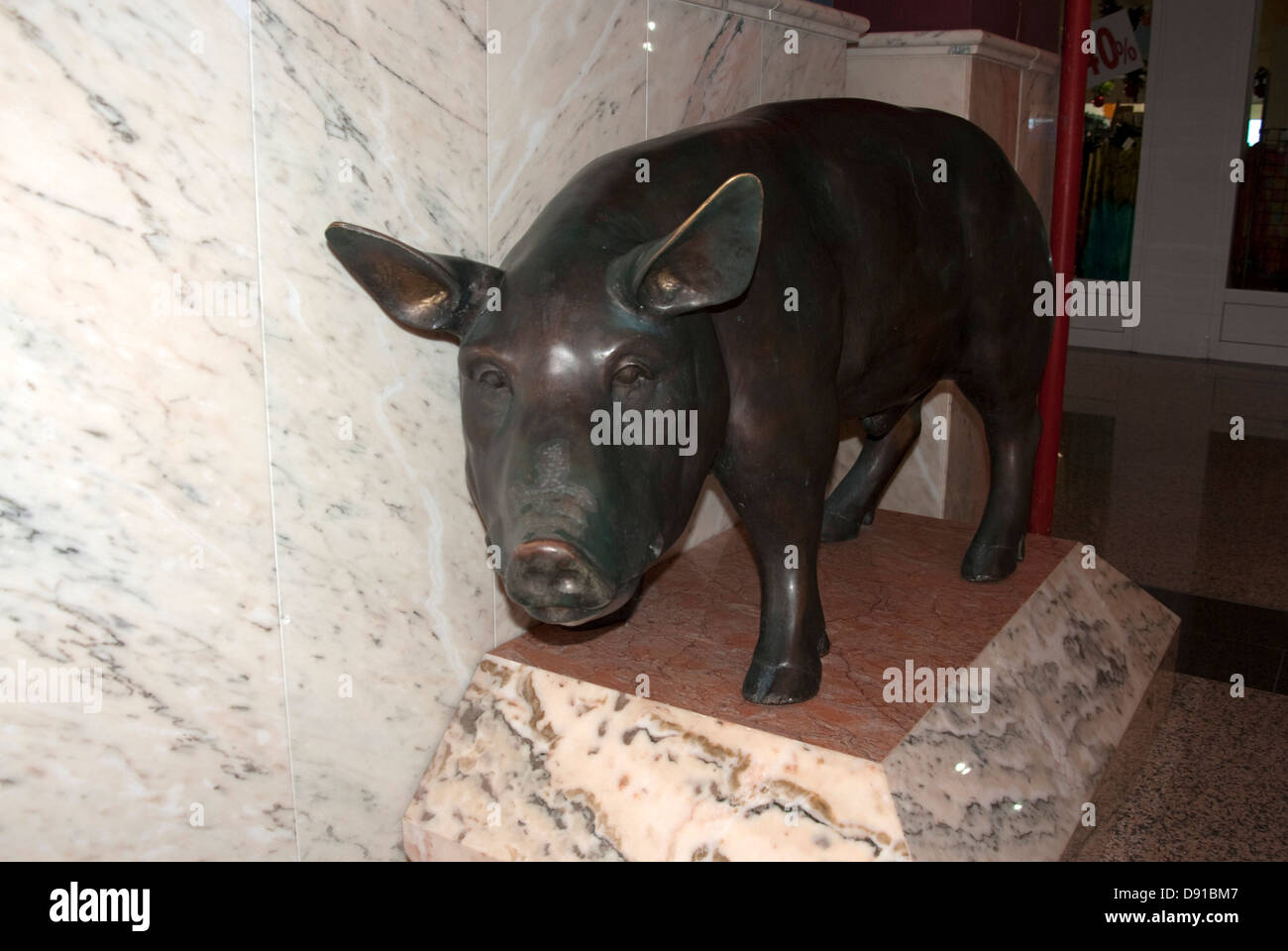 Schwein Auf Der Linken Seite Stockfotos Und Bilder Kaufen Alamy