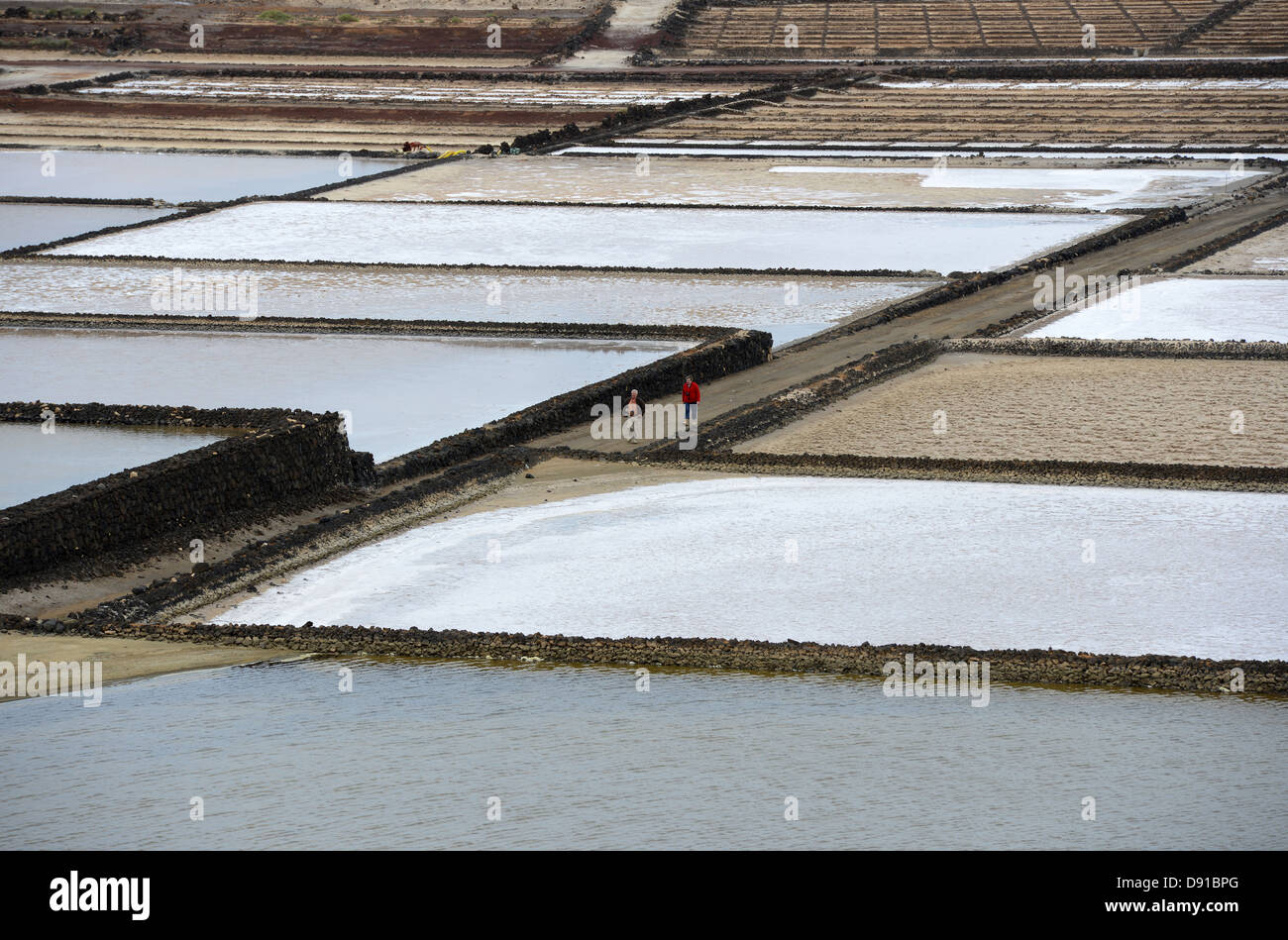 Die Salinas de Janubio oder Salz Pfannen von Janubio, Lanzarote, Kanarische Inseln Stockfoto