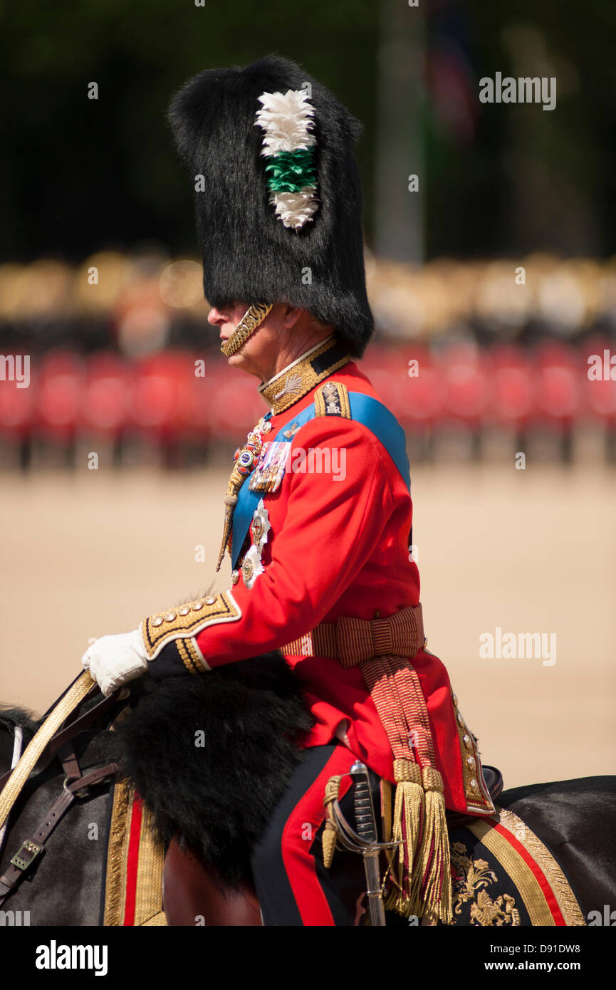 Westminster, London, UK. 8. Juni 2013. Die Farbe des 1. Bataillons Welsh Guards ist in Anwesenheit von HRH The Prince Of Wales, gesehen hier marschierten. Es gibt mehr als 200 Pferde auf Parade, und mehr als 400 Musiker aus allen den Haushalt Division Bands & Korps der Trommeln. Bildnachweis: Malcolm Park/Alamy Live-Nachrichten Stockfoto
