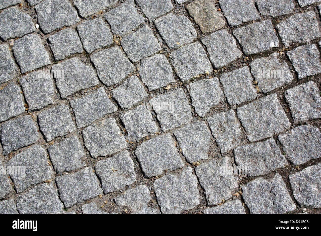 Kopfsteinpflaster Stockfoto