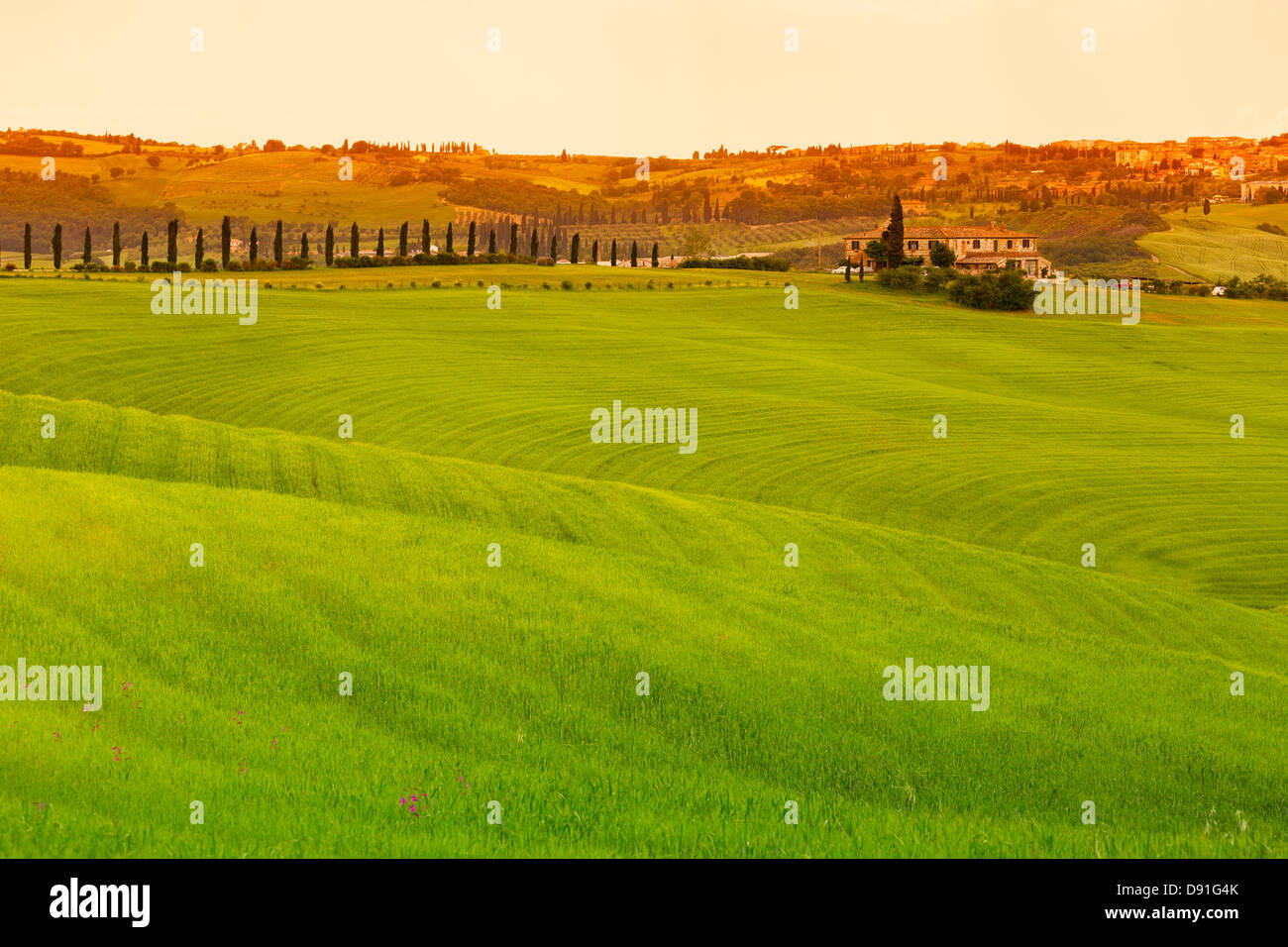 Toskana-Landschaft mit Feldern und Bauernhaus, Pienza, Italien Stockfoto