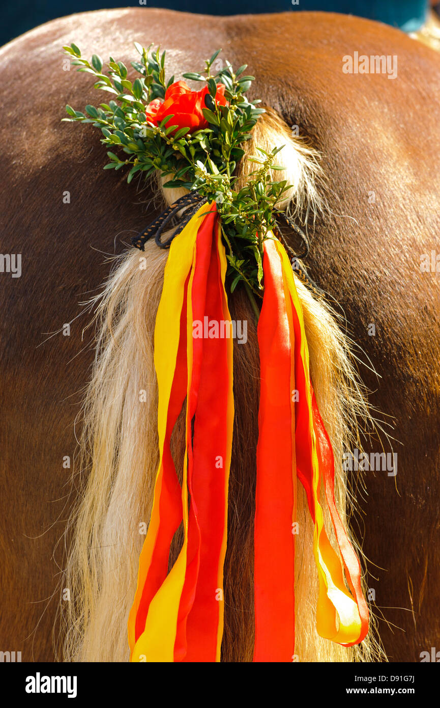 schön dekorierte bayerischen Pferd Schweif Stockfoto