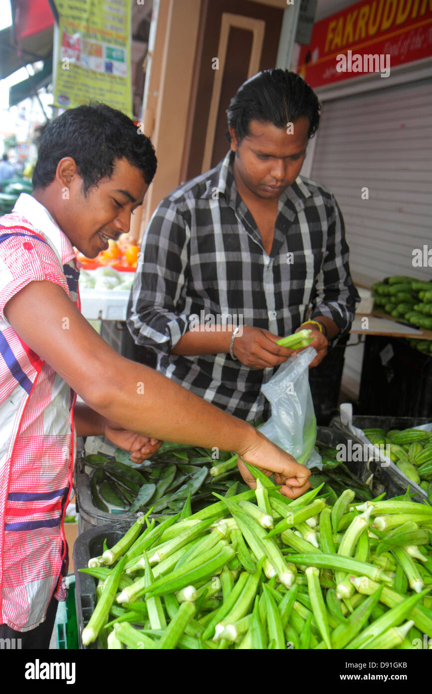 Singapur Little India, asiatischer Mann Männer männlich, produzieren, Verkäufer, Stände Stand Markt Gemüsehändler, Stand, Markt, Okra, Sing130203019 Stockfoto