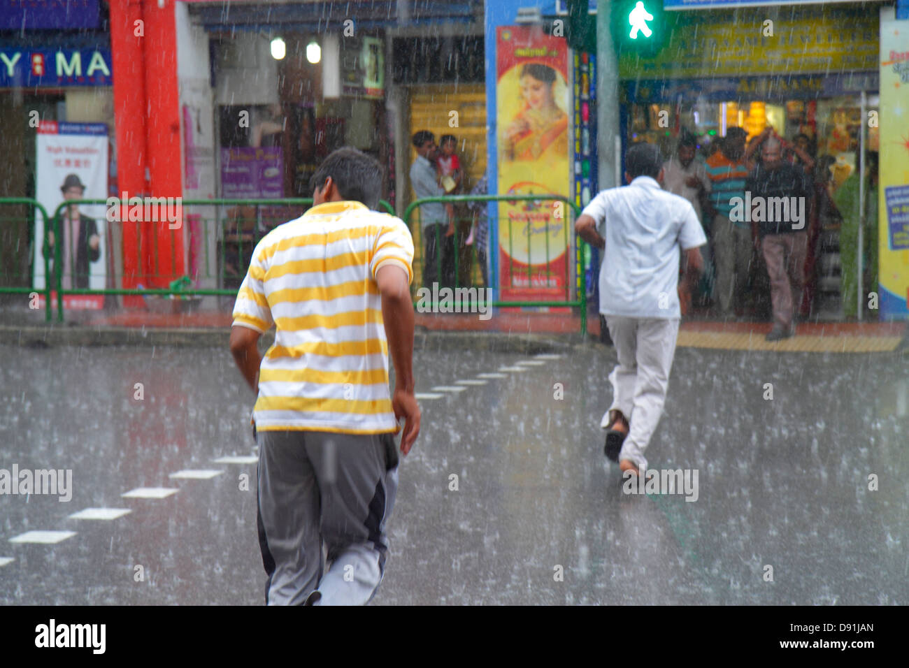 Singapore Little India, Serangoon Road, asiatischer Mann, Männer, Männer, Laufen, Regen, Regen, Wetter, Klima, Monsun, Sing130203087 Stockfoto