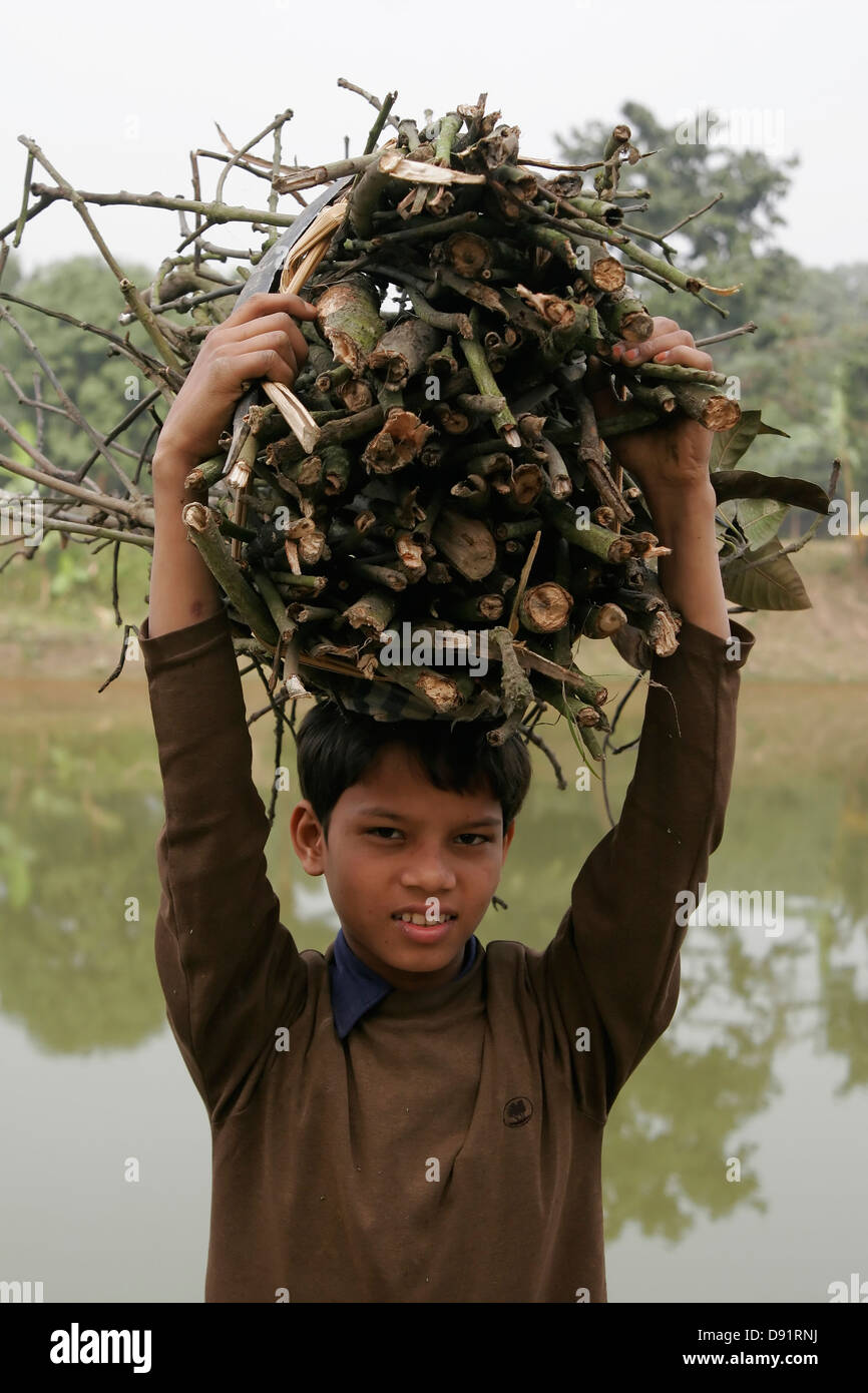 Bangladeshi junge mit Brennholz auf seinem Kopf, Bangladesch, Asien Stockfoto
