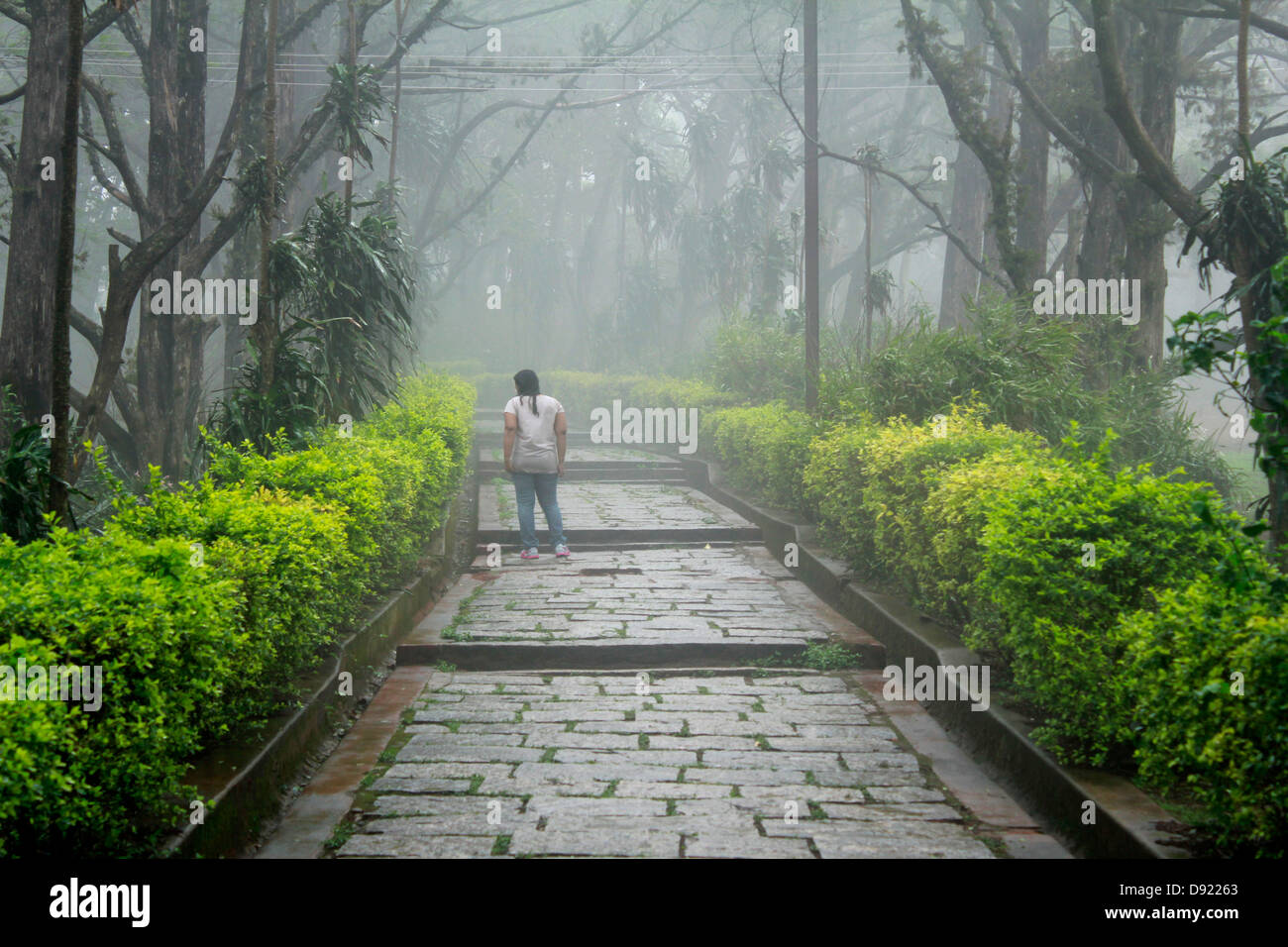 nebligen Morgen in Nandi Hügel, Bangalore, Indien Stockfoto