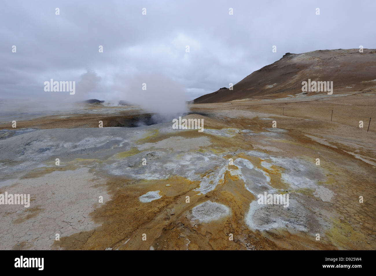 Sprudel, Námafjall Hverir geothermische Gebiet, Nordosten Islands, Island Stockfoto
