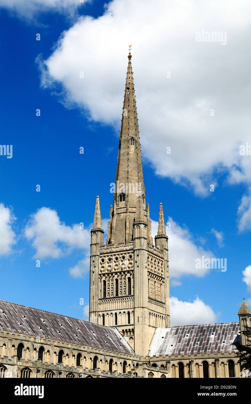 Norwich Kathedrale Spire, Norfolk, England UK, englischen mittelalterlichen Kathedralen Türme Stockfoto