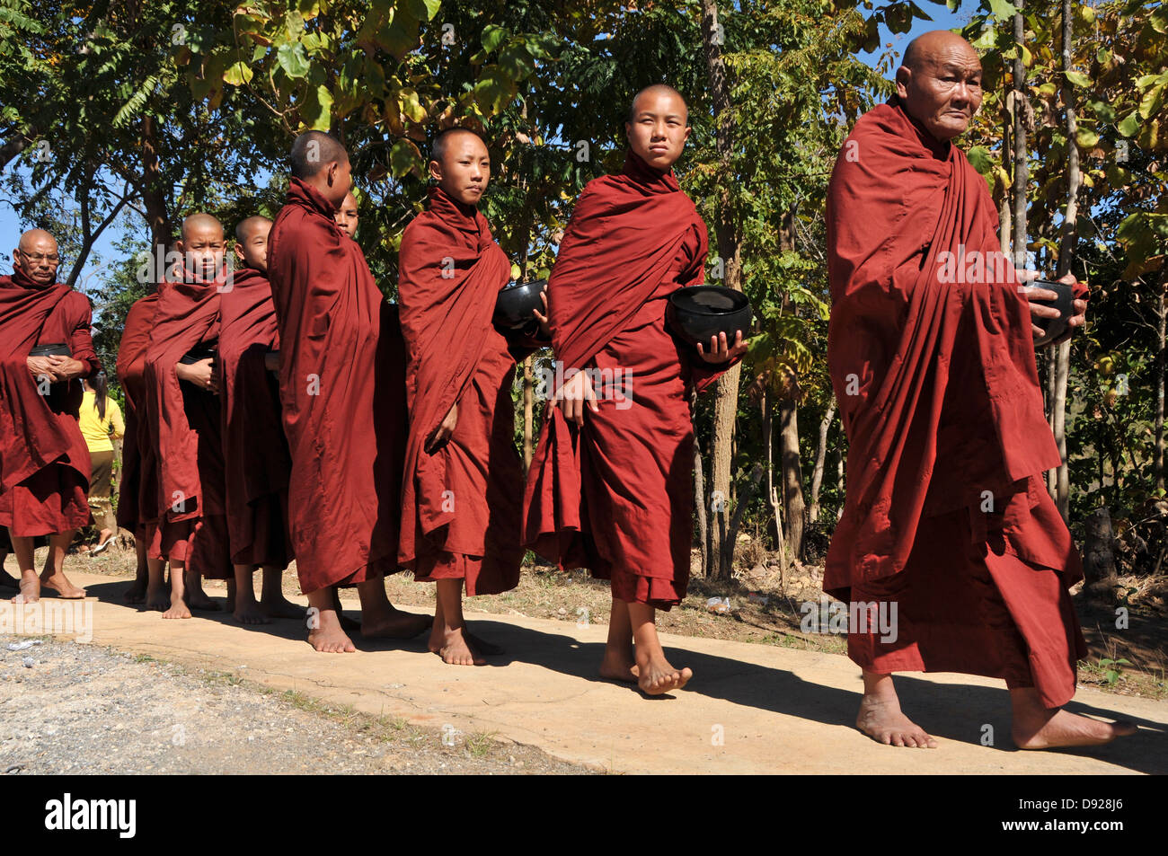 Buddhistischen Mönchen Almosen beim Dezember-Vollmond-Festival, Nyaungshwe, Inle-See, Shan State in Myanmar Stockfoto