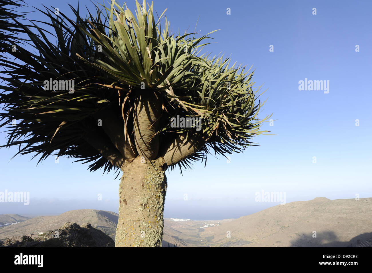 Lugar Diseminado Tabayesco, Haria, Teneriffa, Kanarische Inseln, Islas Canarias, Spanien, Europa Stockfoto