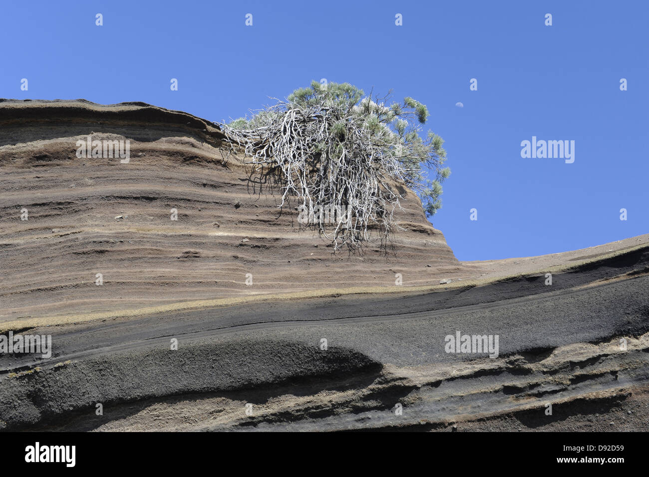 Lava Rock-Formation, Pico del Teide, Parc National del Teide, Teneriffa, Kanarische Inseln, Islas Canarias, Spanien, Europa Stockfoto