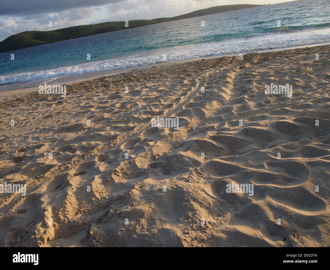 Sea Turtle Spuren am Zoni Strand nach Mama Eiablage Stockfoto