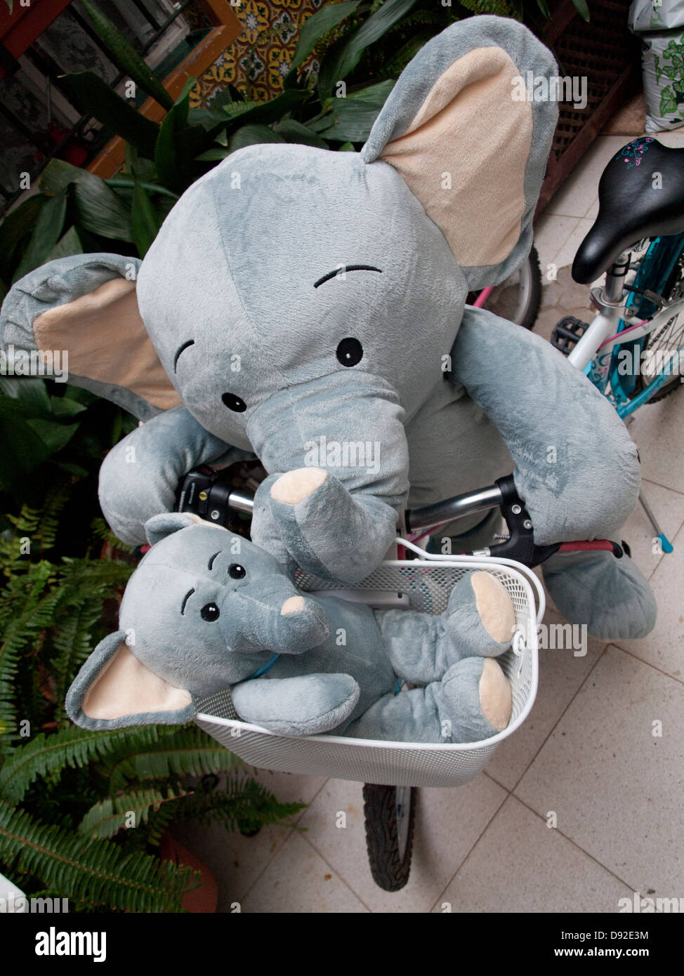 Elefant fahrrad -Fotos und -Bildmaterial in hoher Auflösung – Alamy