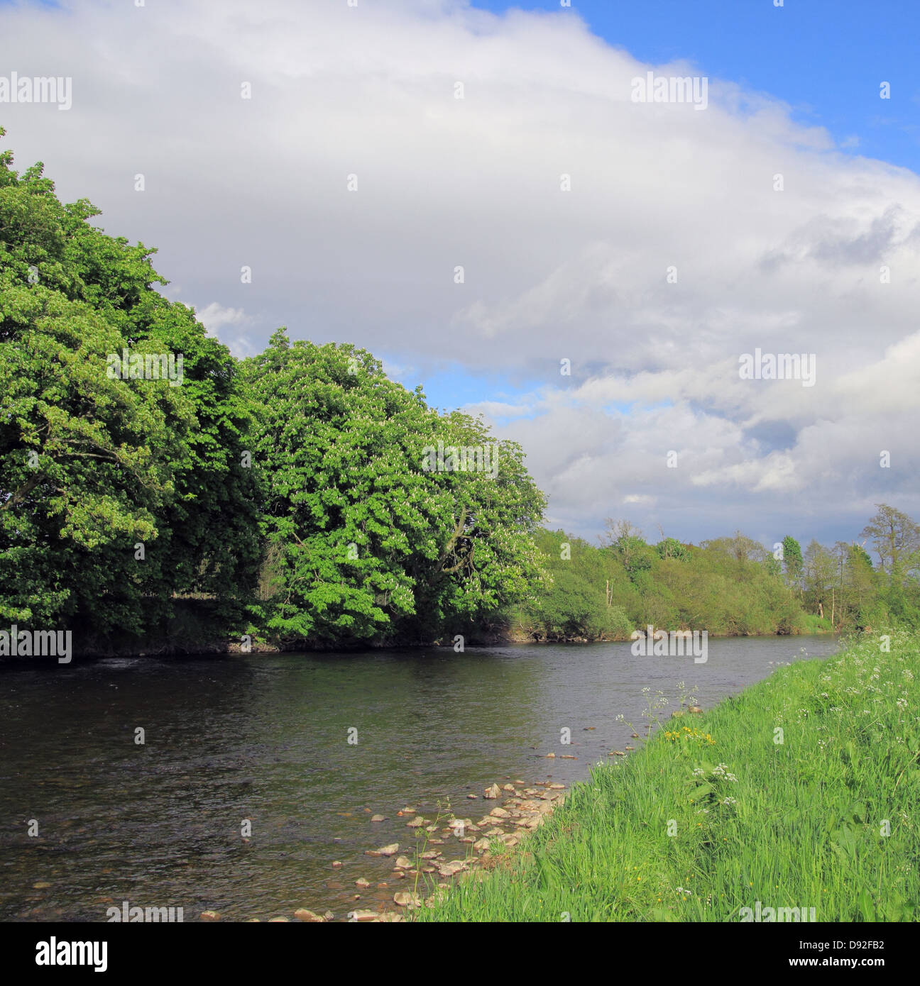 Fluss Annan, Annandale, Dumfries und Galoway, Schottland, Großbritannien Stockfoto