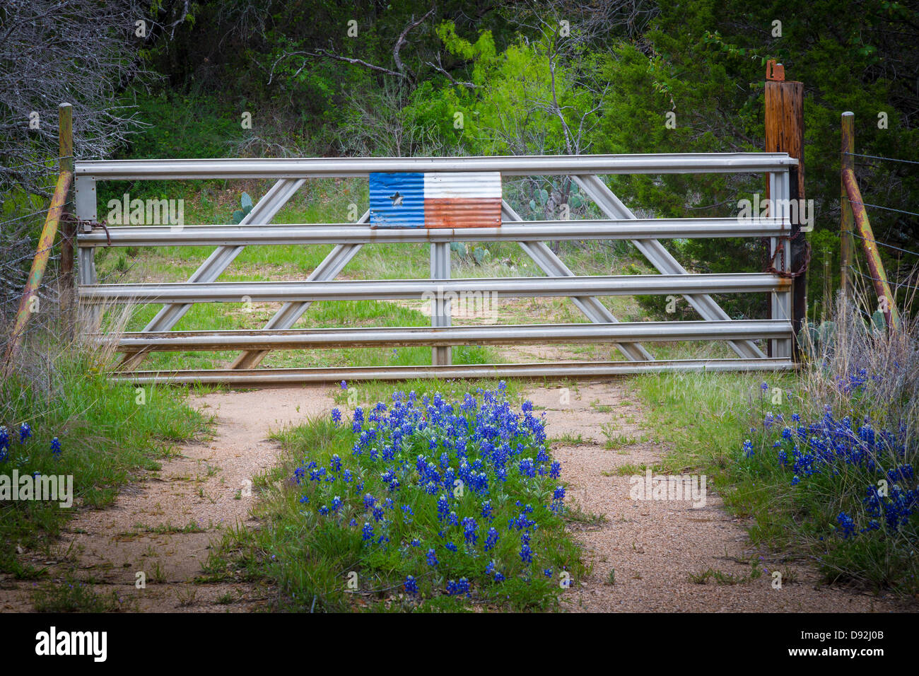 Kornblumen und Lone Star Gate in der Nähe von Llano in Texas Hill Country Stockfoto