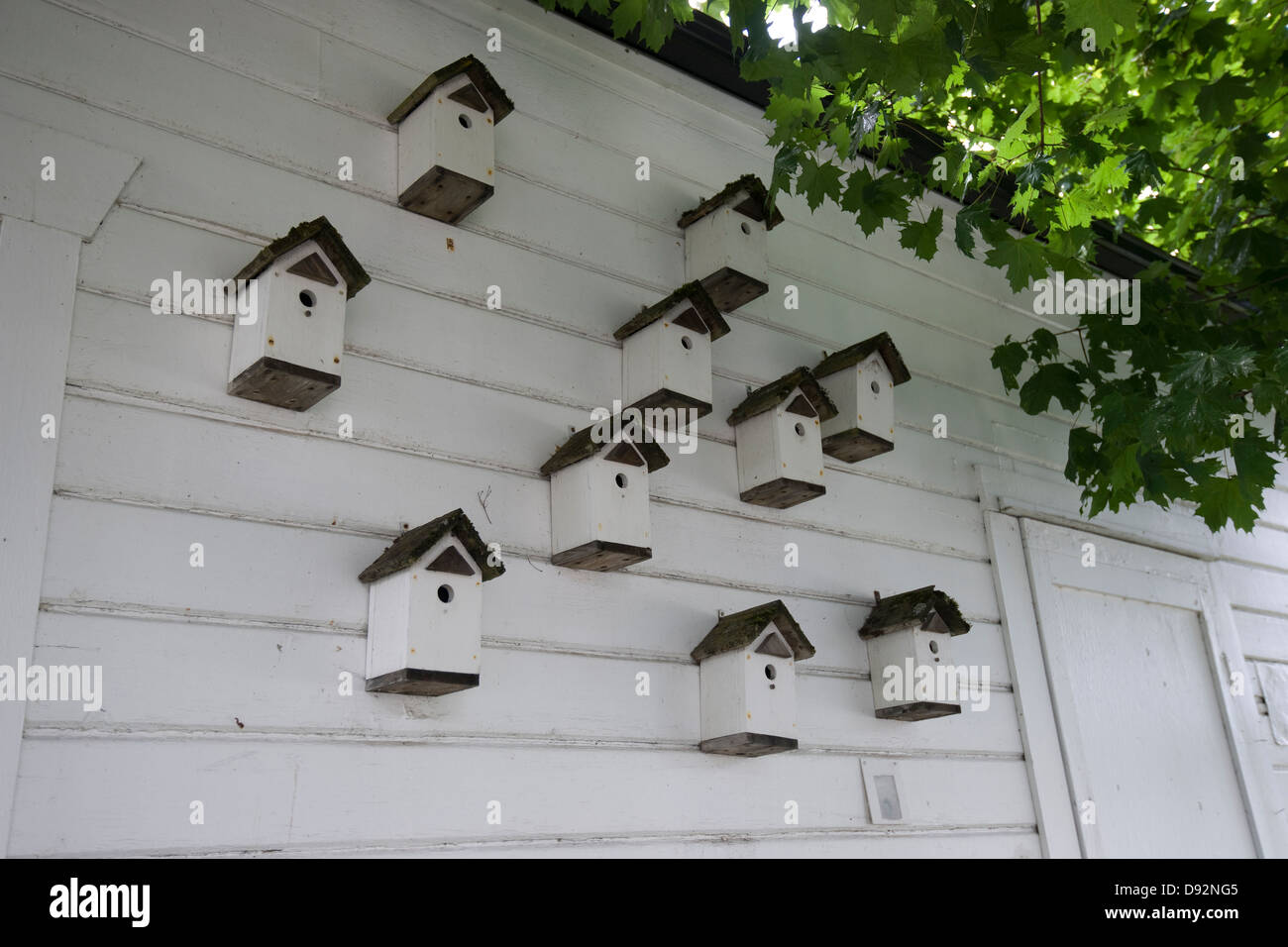 zehn identische Vogelhäuschen an der Seite eines Hauses Stockfoto