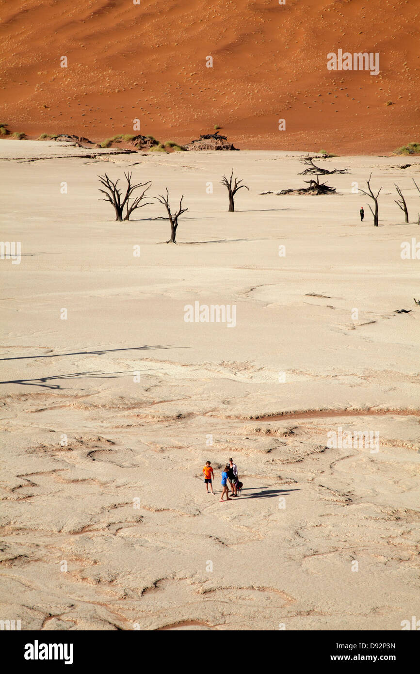 Tote Bäume (gedacht, um 900 Jahre alt sein), Touristen und Sanddünen am Deadvlei, Namib-Naukluft-Nationalpark, Namibia, Afrika Stockfoto