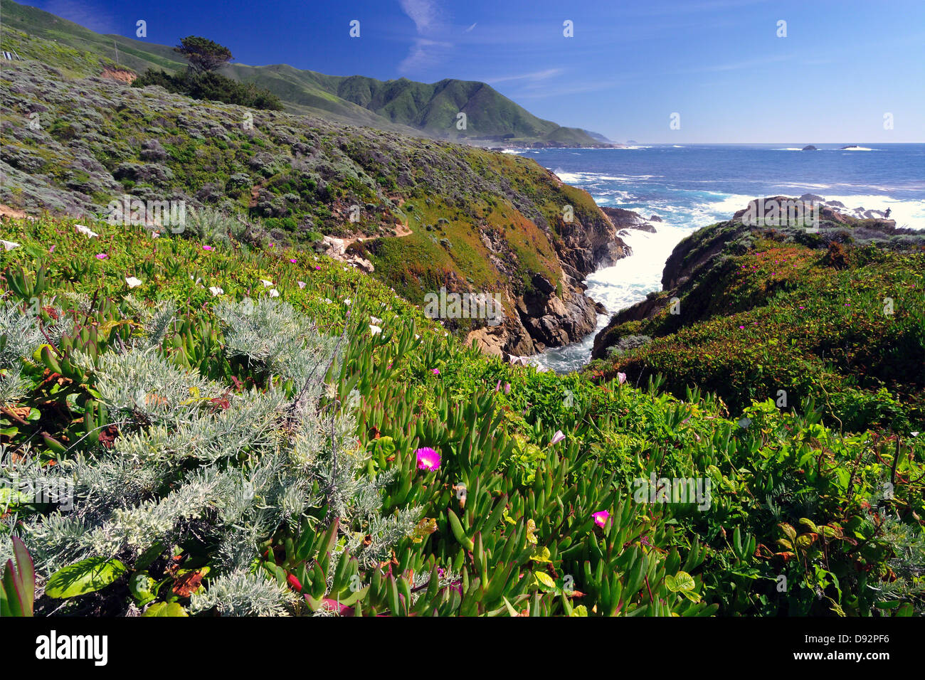 Frühling-Vista der Big Sur Coast, Garrapata State Park, Kalifornien Stockfoto