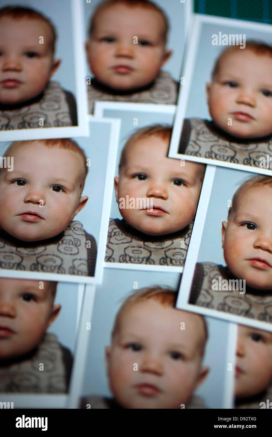Mehrere Brieftasche Größe Passfotos eines Baby-jungen Stockfoto