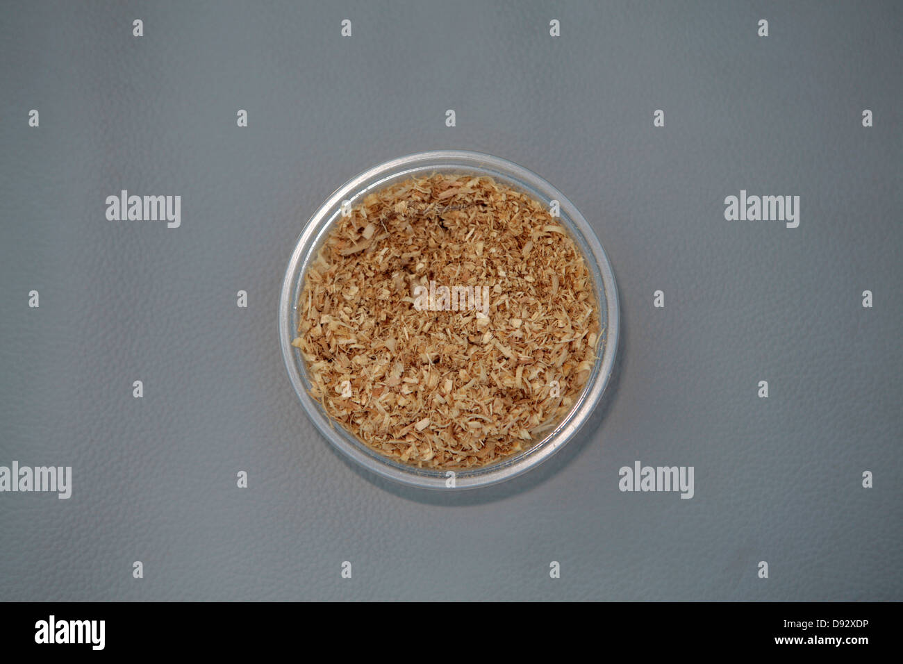 Ein Gericht aus Geflügel Getreide ernähren sich von einem grauen Hintergrund Stockfoto