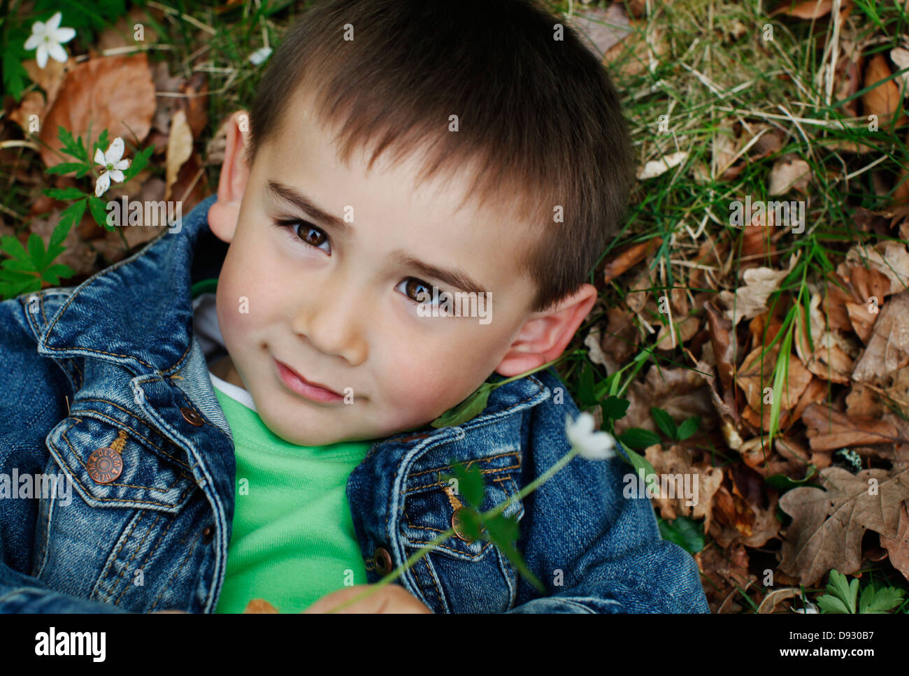 Junge im Grass liegen Stockfoto