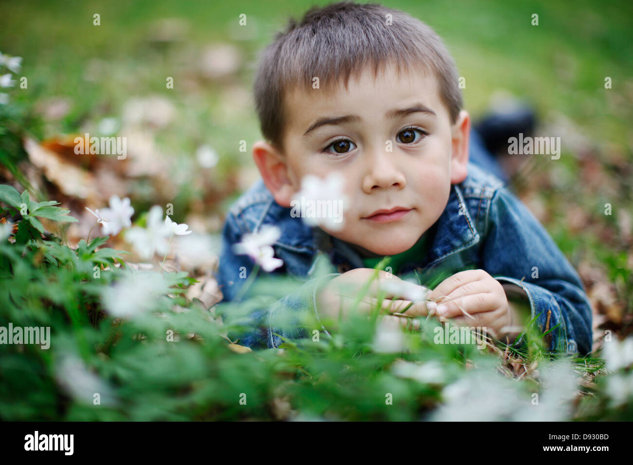 Lächelnde junge Gras liegend Stockfoto