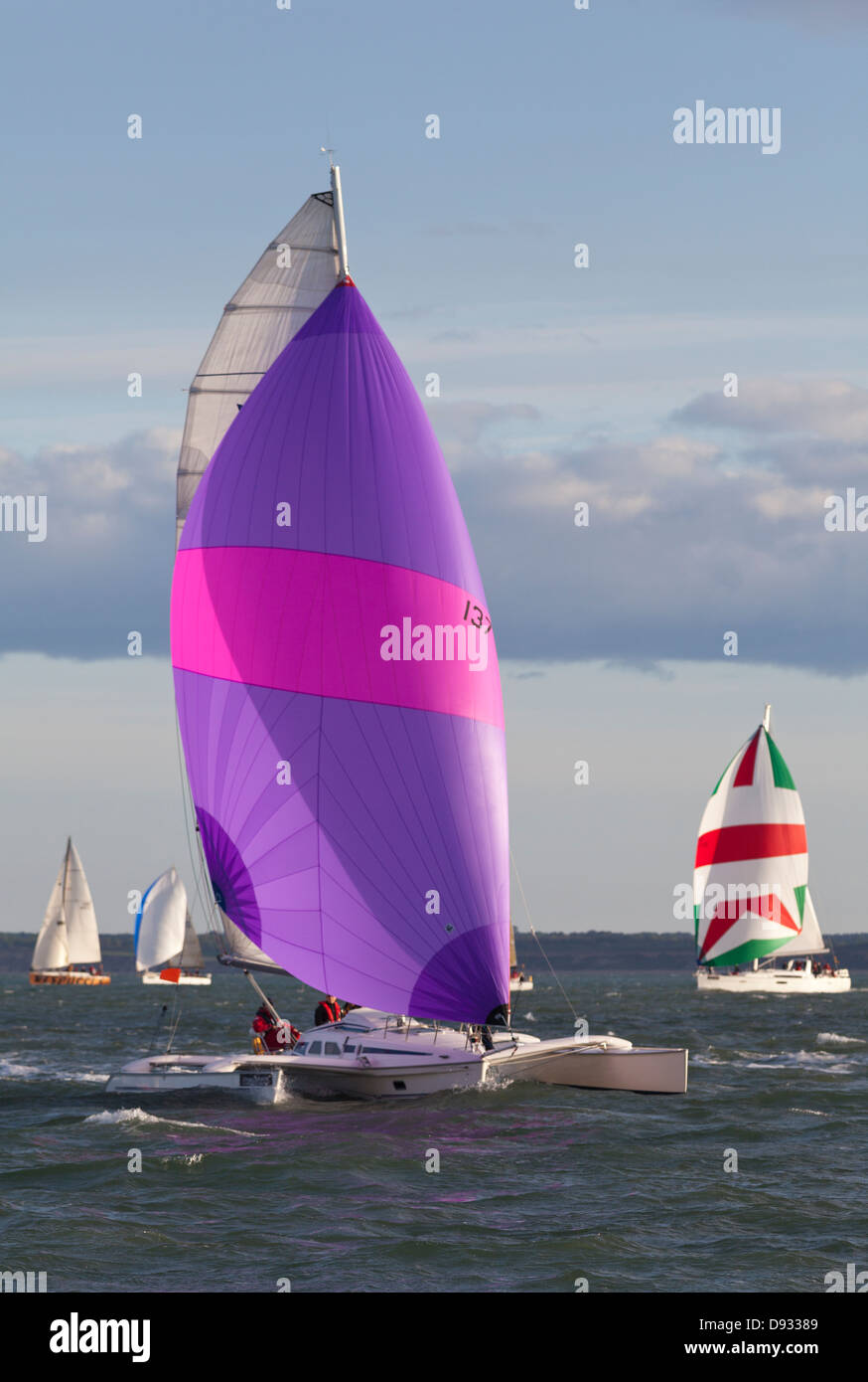 Lila rosa isometrische Segel auf Trimaran Segeln in Round The Island Race Isle Of Wight Stockfoto