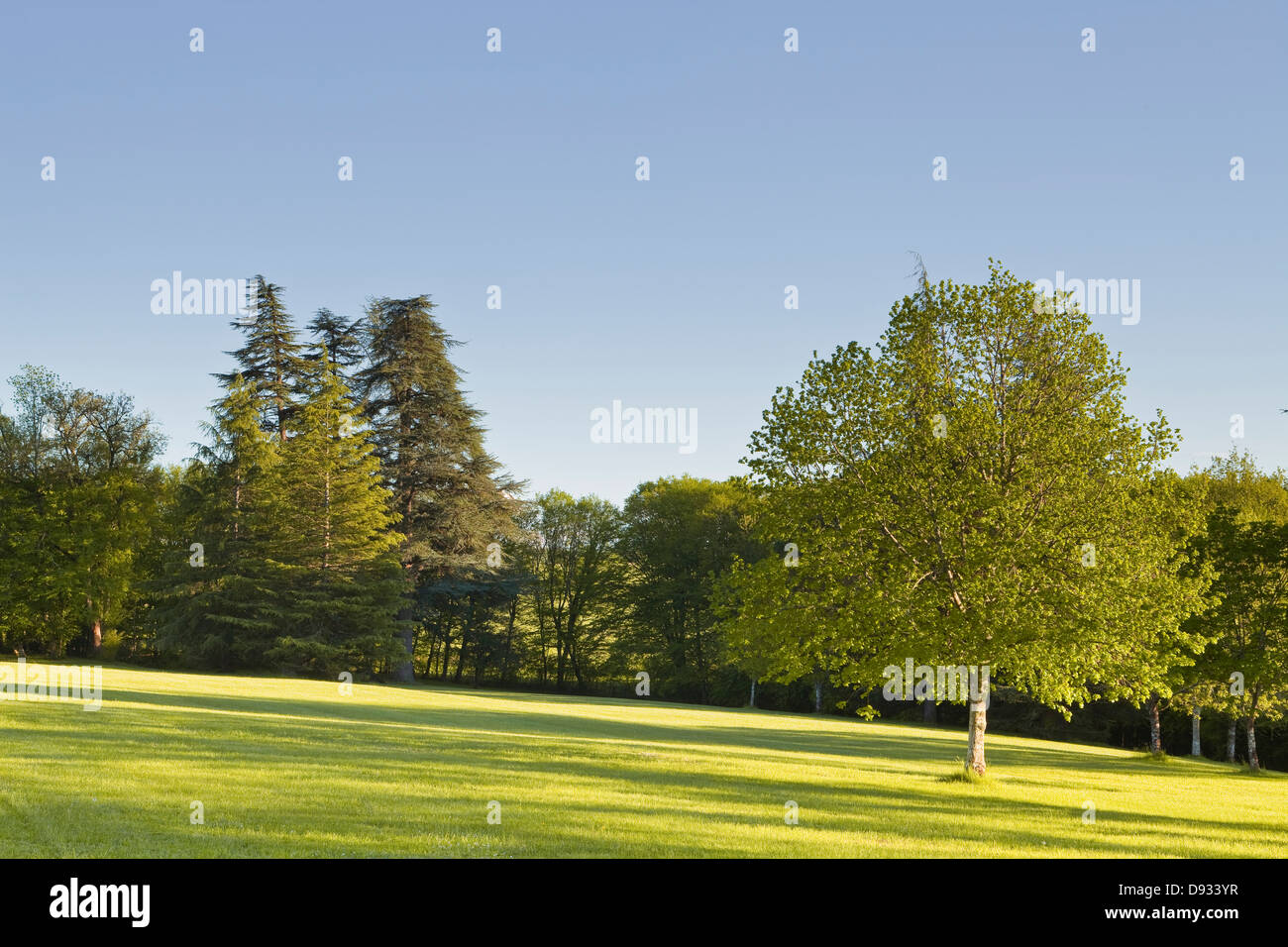 Einen makellosen Rasen auf einem Landsitz in Frankreich. Stockfoto