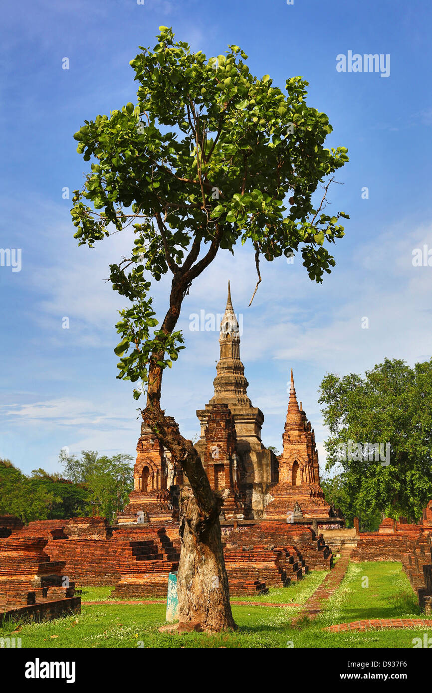 Wat Mahathat Tempel, Sukhotai Historical Park, Sukhotai, Thailand Stockfoto