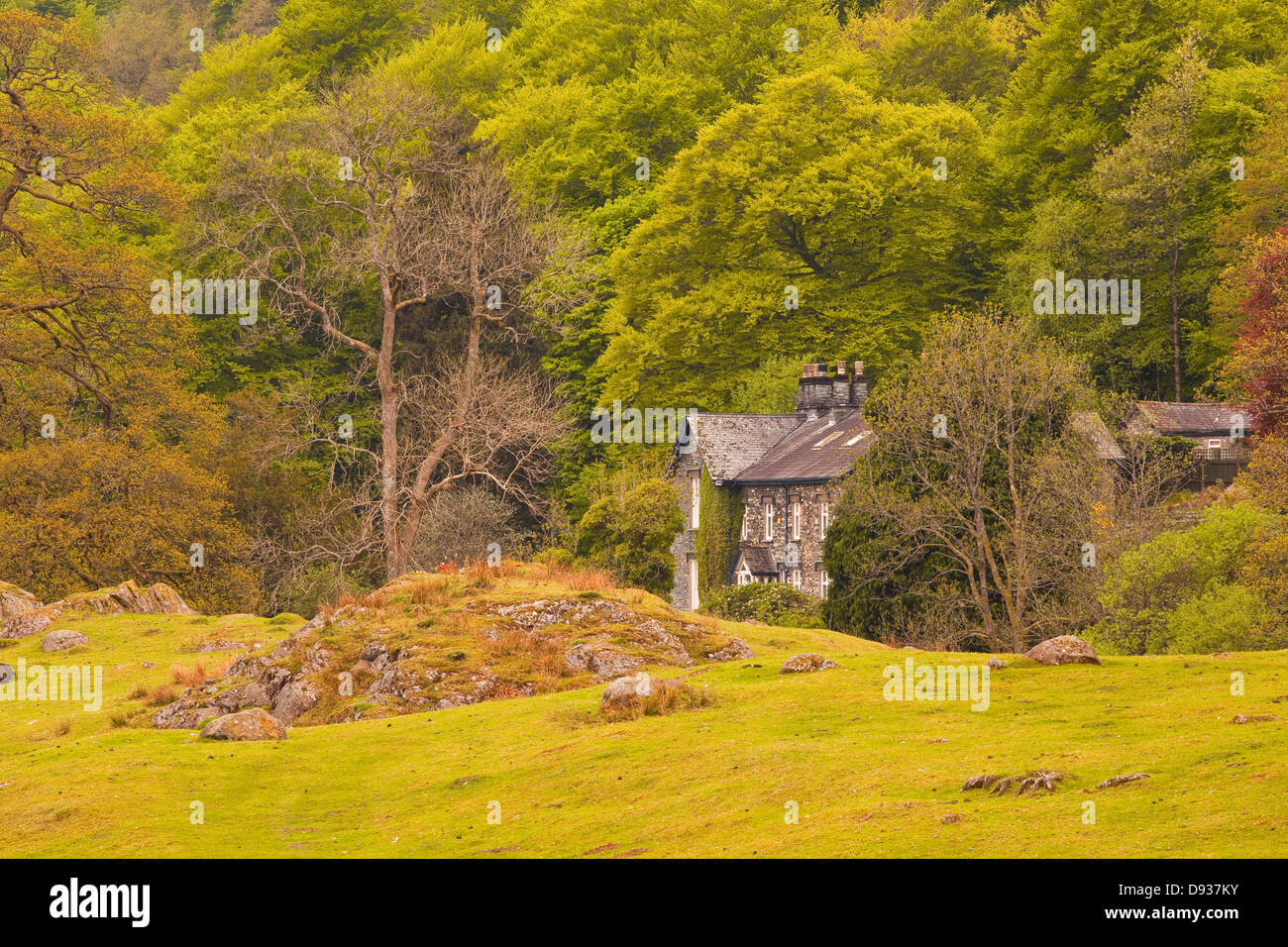 Ein Haus unter den Wald in der Nähe von Ambleside im Lake District National Park. Stockfoto