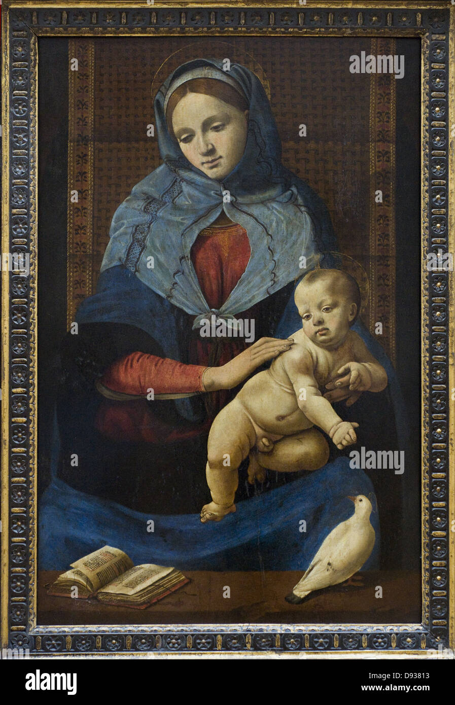 Piero di Cosimo, die Jungfrau und Kind mit 1490 Taube Stockfoto