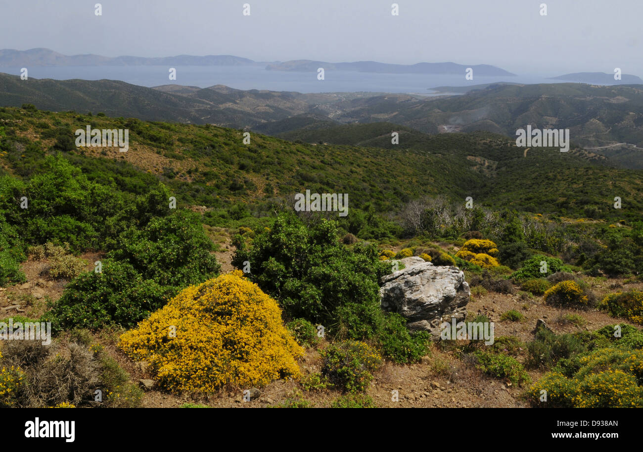 Blick auf Mittelmeer, Landschaft, Argolis, Peloponnes, Griechenland Stockfoto
