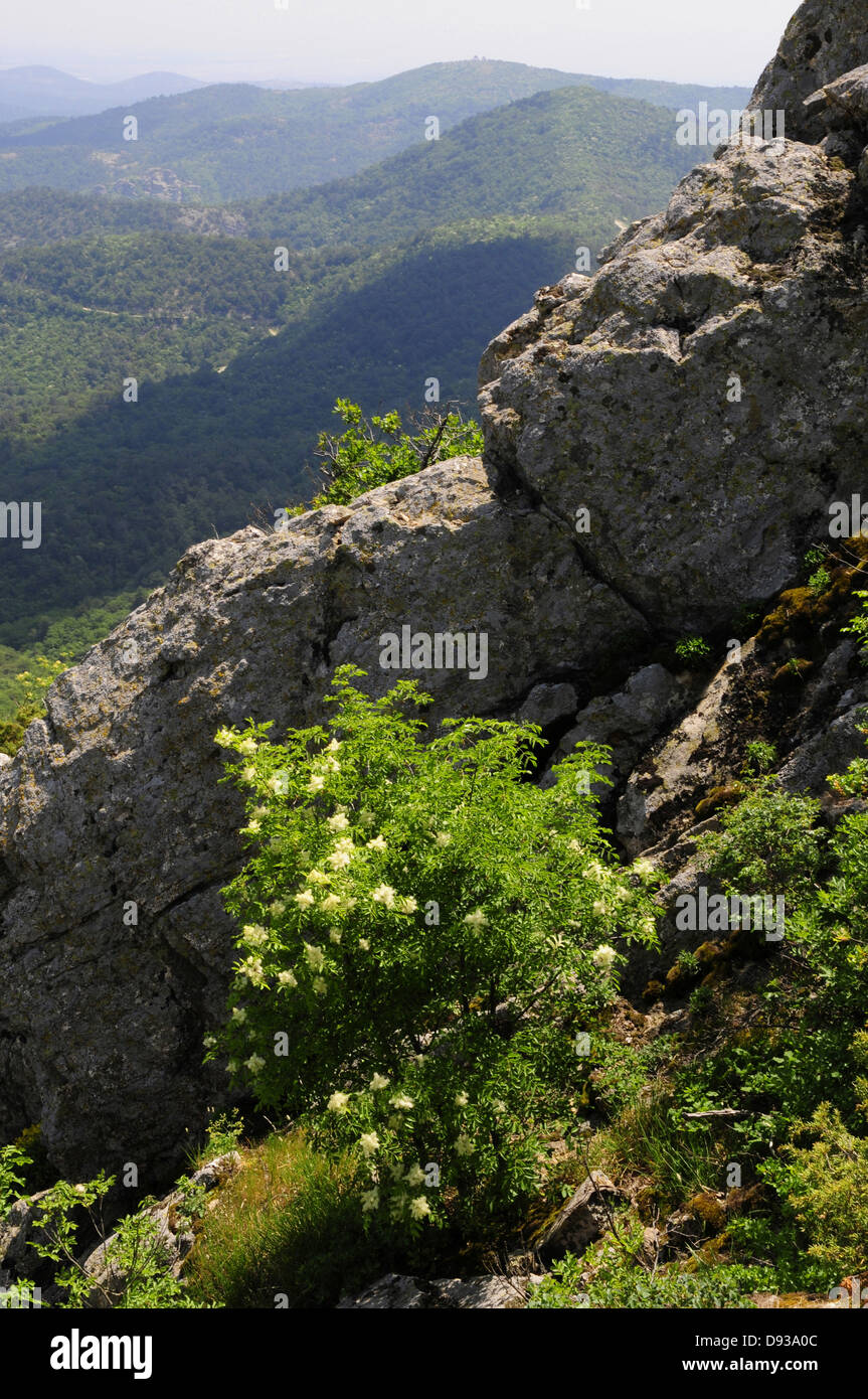 Blick vom Kapsaló Rock, Dadia Highland, Thrakien, Griechenland Stockfoto