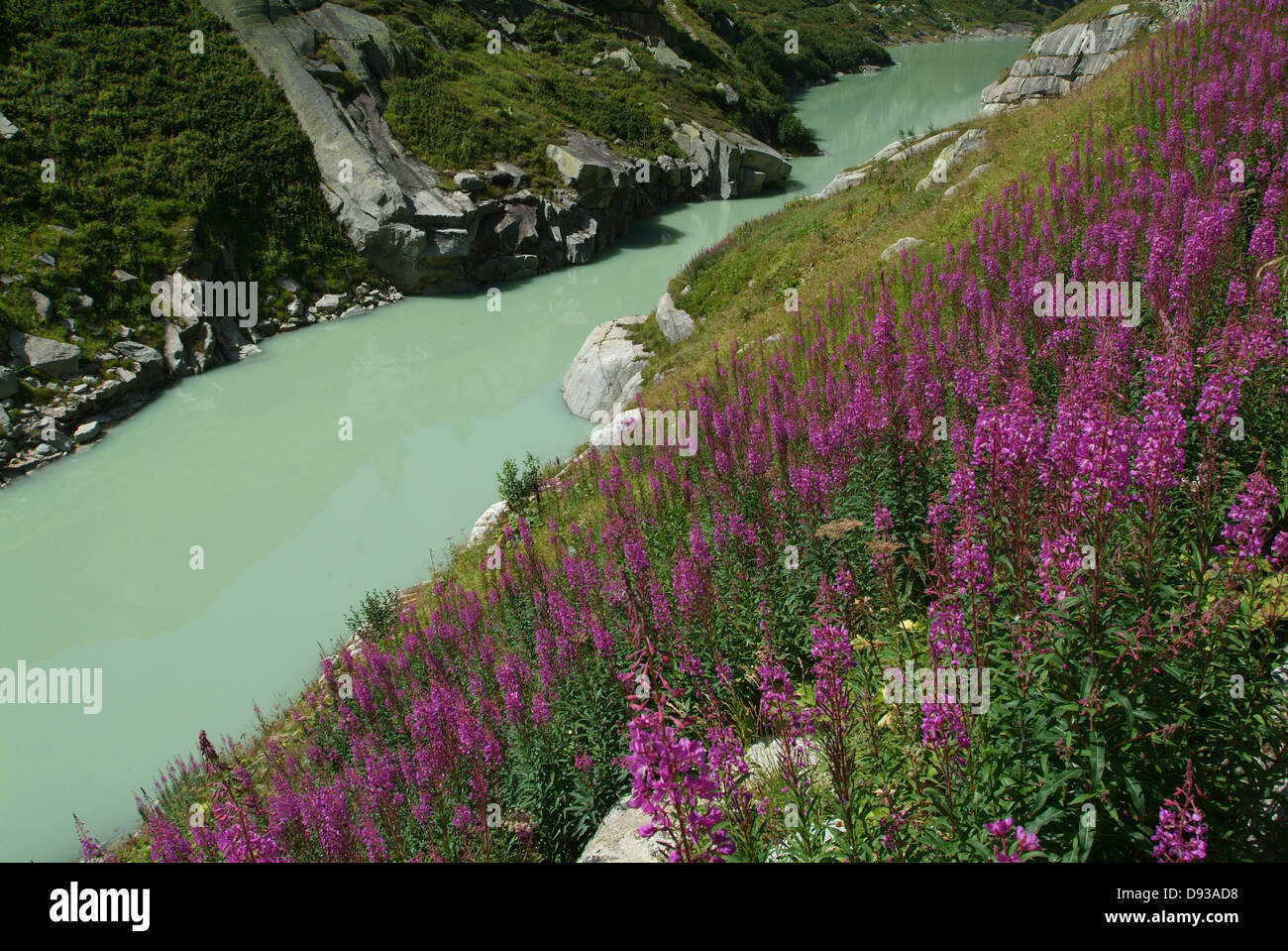 Fluss Aare in den Schweizer Alpen Stockfoto