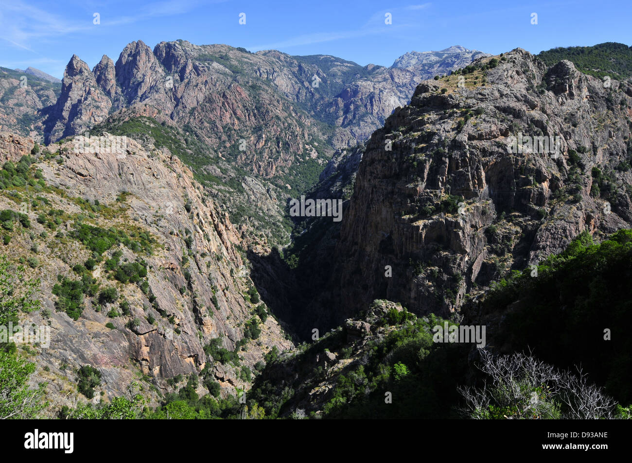 Spelunca-Schlucht, in der Nähe von Evisa, Les Deux-Sevi, Corse-du-Sud, Korsika, Frankreich Stockfoto