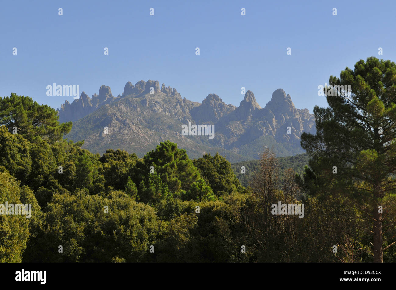 Aiguilles de Bavella, Blick vom Quenza, Col de Bavella, Alta Rocca Region, Corse-du-Sud, Korsika, Frankreich Stockfoto